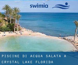 Piscine Di Acqua salata a Crystal Lake (Florida)