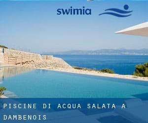 Piscine Di Acqua salata a Dambenois