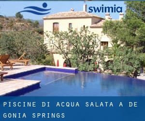 Piscine Di Acqua salata a De Gonia Springs