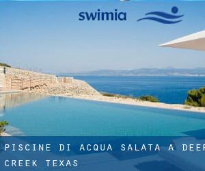 Piscine Di Acqua salata a Deer Creek (Texas)