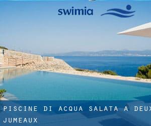 Piscine Di Acqua salata a Deux-Jumeaux