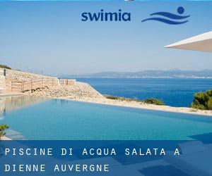 Piscine Di Acqua salata a Dienne (Auvergne)