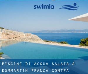 Piscine Di Acqua salata a Dommartin (Franca Contea)