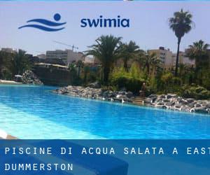 Piscine Di Acqua salata a East Dummerston