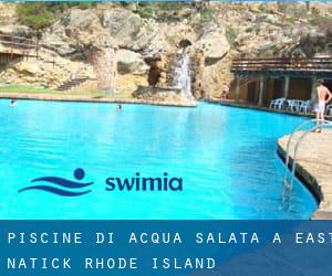 Piscine Di Acqua salata a East Natick (Rhode Island)