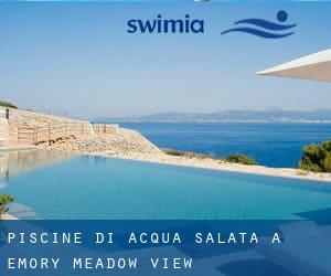 Piscine Di Acqua salata a Emory-Meadow View