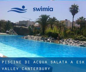 Piscine Di Acqua salata a Esk Valley (Canterbury)