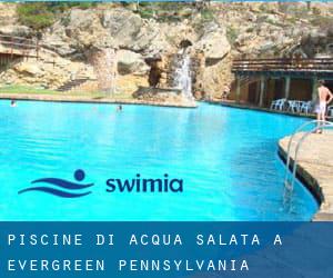 Piscine Di Acqua salata a Evergreen (Pennsylvania)