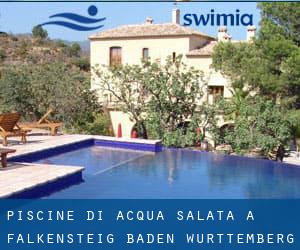 Piscine Di Acqua salata a Falkensteig (Baden-Württemberg)