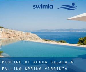 Piscine Di Acqua salata a Falling Spring (Virginia)