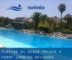 Piscine Di Acqua salata a Ferry Landing (Delaware)