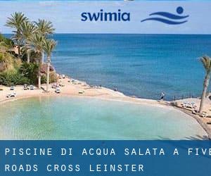 Piscine Di Acqua salata a Five Roads Cross (Leinster)