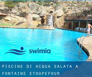 Piscine Di Acqua salata a Fontaine-Étoupefour