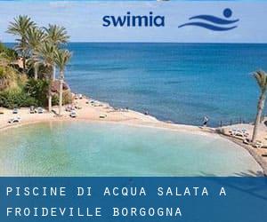 Piscine Di Acqua salata a Froideville (Borgogna)