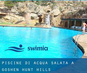 Piscine Di Acqua salata a Goshen Hunt Hills