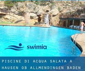 Piscine Di Acqua salata a Hausen ob Allmendingen (Baden-Württemberg)