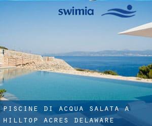 Piscine Di Acqua salata a Hilltop Acres (Delaware)