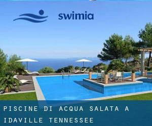 Piscine Di Acqua salata a Idaville (Tennessee)