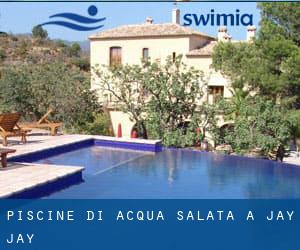 Piscine Di Acqua salata a Jay Jay