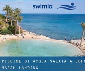 Piscine Di Acqua salata a John Marsh Landing