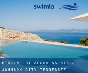 Piscine Di Acqua salata a Johnson City (Tennessee)