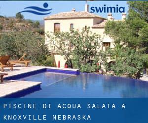 Piscine Di Acqua salata a Knoxville (Nebraska)