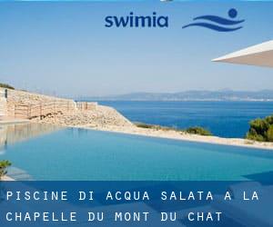 Piscine Di Acqua salata a La Chapelle-du-Mont-du-Chat