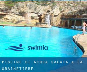 Piscine Di Acqua salata a La Grainetière