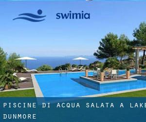 Piscine Di Acqua salata a Lake Dunmore