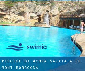 Piscine Di Acqua salata a Le Mont (Borgogna)