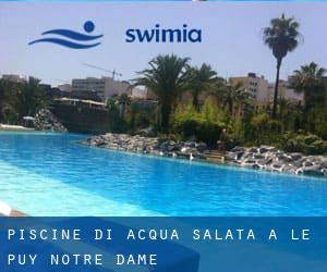 Piscine Di Acqua salata a Le Puy-Notre-Dame