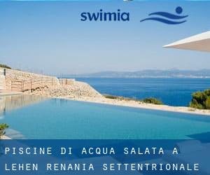 Piscine Di Acqua salata a Lehen (Renania Settentrionale-Vestfalia)