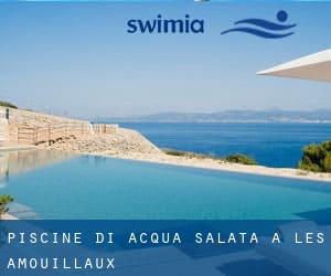 Piscine Di Acqua salata a Les Amouillaux