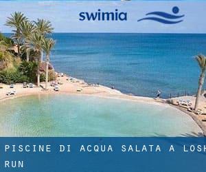 Piscine Di Acqua salata a Losh Run