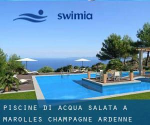 Piscine Di Acqua salata a Marolles (Champagne-Ardenne)