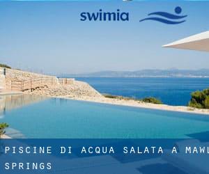 Piscine Di Acqua salata a Mawl Springs