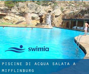 Piscine Di Acqua salata a Mifflinburg