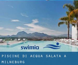 Piscine Di Acqua salata a Milneburg