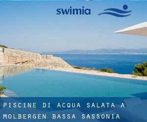 Piscine Di Acqua salata a Molbergen (Bassa Sassonia)