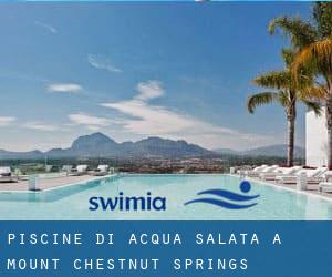 Piscine Di Acqua salata a Mount Chestnut Springs