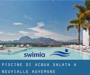 Piscine Di Acqua salata a Neuvialle (Auvergne)