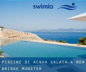 Piscine Di Acqua salata a New Bridge (Munster)