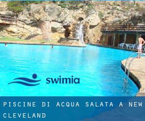 Piscine Di Acqua salata a New Cleveland