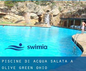 Piscine Di Acqua salata a Olive Green (Ohio)