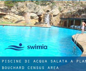 Piscine Di Acqua salata a Plan-Bouchard (census area)