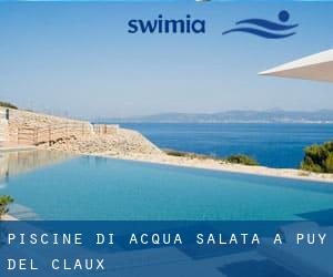 Piscine Di Acqua salata a Puy del Claux