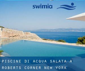 Piscine Di Acqua salata a Roberts Corner (New York)