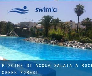 Piscine Di Acqua salata a Rock Creek Forest