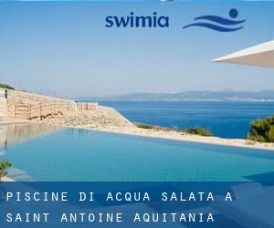 Piscine Di Acqua salata a Saint-Antoine (Aquitania)