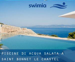 Piscine Di Acqua salata a Saint-Bonnet-le-Chastel